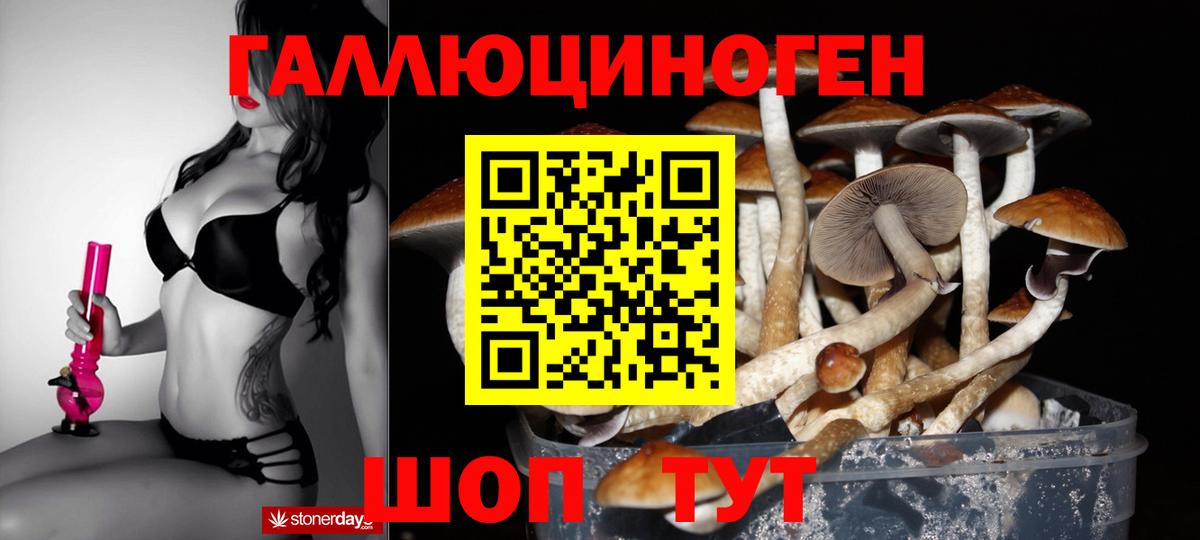 Галлюциногенные грибы прущие грибы Стерлитамак